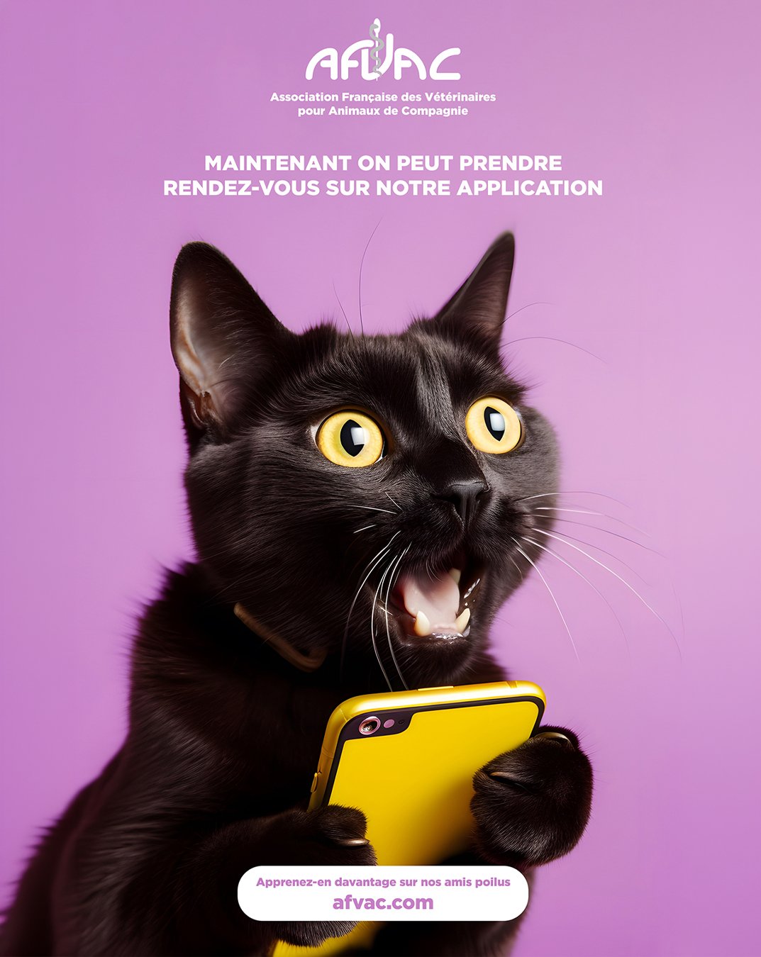 Home print asso veterinaire3